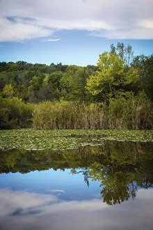 Images Dated 6th September 2021: Lake, France Park, Indiana, USA
