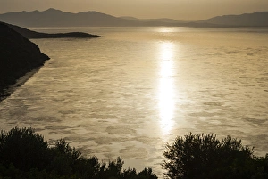 Images Dated 21st June 2010: Lake Ichkeul, National Park of Ichkeul, Bizerte province, Tunisia, North Africa, Africa