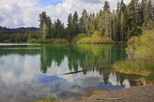 Boiling Prints: Lake located at the northeast corner of Lassen Volcanic Park in Northern California