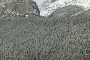 Lake Louise Prints: 02