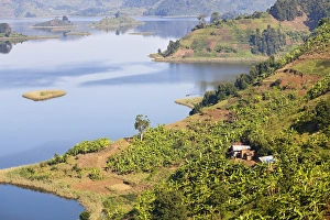 Lake Mutanda near Kisoro in Uganda. On the shoreline the land is cultivated, very