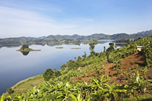 Images Dated 6th February 2009: Lake Mutanda near Kisoro in Uganda. On the shoreline the land is cultivated, very