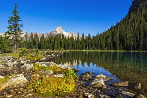 Images Dated 29th December 2020: Lake O hara, Yoho National Park, British Columbia, Canada