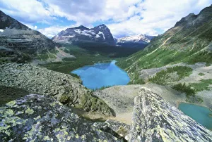 Glacial Till Prints: Lake O Hara, Yoho NP, BC, Canada