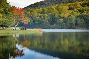 Images Dated 5th August 2021: Lake reflections, Peaks Of Otter, Blue Ridge Parkway, Smoky Mountains, USA