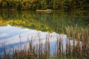 Lake reflections, Peaks Of Otter, Blue Ridge Parkway, Smoky Mountains, USA