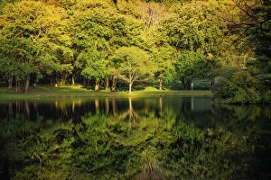 Images Dated 5th August 2021: Lake reflections, Peaks Of Otter, Blue Ridge Parkway, Smoky Mountains, USA