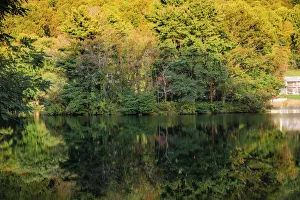 Images Dated 6th August 2021: Lake reflections, Peaks Of Otter, Blue Ridge Parkway, Smoky Mountains, USA