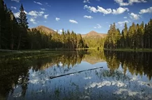 Images Dated 13th June 2007: Lake along the road to Tuolumne Meadows, Yosemite National Park, California, USA