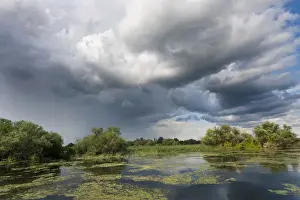 Images Dated 17th July 2006: Lakes in the Danube Delta, romania, thunderstorm clouds form in the air, which is