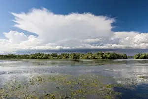 Biosphere Reserve Prints: Lakes in the Danube Delta, romania, thunderstorm clouds form in the air, which is