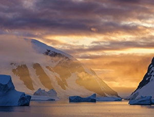 Prints of Landscape of the Arctowski Peninsula during sunset. West Antarctica, Antarctic Peninsula Images Dated 2024 November: Landscape of the Arctowski Peninsula during sunset. West Antarctica, Antarctic Peninsula