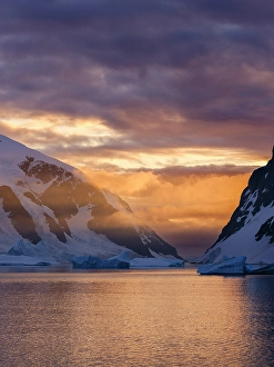 Prints of Landscape of the Arctowski Peninsula during sunset. West Antarctica, Antarctic Peninsula Images Dated 2024 November: Landscape of the Arctowski Peninsula during sunset. West Antarctica, Antarctic Peninsula