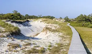 Germany Prints: Landscape with coastal dunes at Darsser Ort on the Darss Peninsula