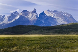 Images Dated 24th April 2009: Landscape of Cuernos del Paine with meadow, Torres del Paine National Park, Patagonia