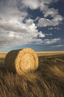 Horizon Over Land Prints: 02