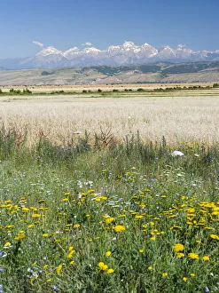 Landscape in the foothills of the Fergana mountain range (Ferganskij xrebet