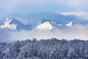 USA, North America, Alaska Prints: Landscape of forest and snow mountain, Haines, Alaska, USA