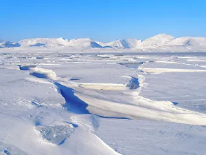 Sea Ice Prints: Landscape at frozen Gronfjorden