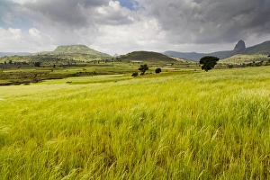 Amhara Prints: Landscape between Gonder and Lake Tana in Ethiopia