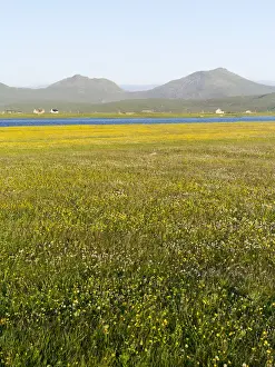Images Dated 26th June 2014: Landscape on the island of South Uist (Uibhist a Deas) in the Outer Hebrides. Machair