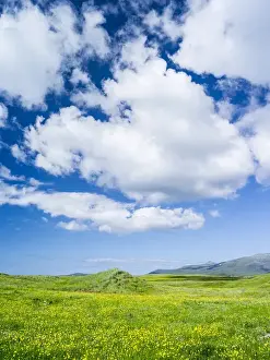 Images Dated 26th June 2014: Landscape on the island of South Uist (Uibhist a Deas) in the Outer Hebrides. Machair