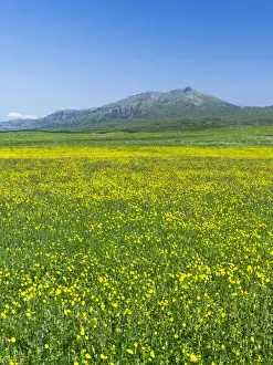 Images Dated 26th June 2014: Landscape on the island of South Uist (Uibhist a Deas) in the Outer Hebrides. Machair