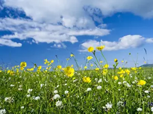 Landscape on the island of South Uist (Uibhist a Deas) in the Outer Hebrides. Machair