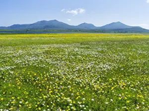 Images Dated 26th June 2014: Landscape on the island of South Uist (Uibhist a Deas) in the Outer Hebrides. Machair