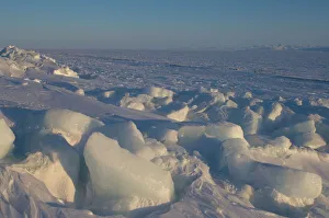 Images Dated 8th April 2006: landscape of jumbled ice on the frozen Arctic ocean, off Herschel island and the
