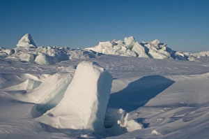 Images Dated 8th April 2006: landscape of jumbled ice on the frozen Arctic ocean, off Herschel island and the