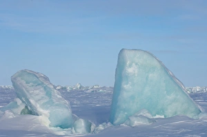 Images Dated 23rd April 2006: landscape of jumbled ice on the frozen Arctic ocean, off Herschel island and the