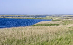 Landscape with lagoons at Darsser Ort on the Darss Peninsula. Western Pomerania Lagoon Area NP