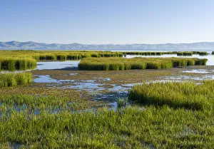 Mystical Prints: Landscape at lake Song Kol (Son Kul, Songkol, Song-Koel)