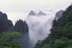 Images Dated 1st December 2004: Landscape of Mt. Huangshan (Yellow Mountain) in mist, Anhui Province, China