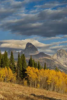 Images Dated 19th September 2020: Landscape of Mt. Owen, Grand Teton and Middle Teton from the west, golden fall foliage