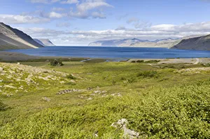 Images Dated 30th May 2019: Landscape near Arnarfjordur fjord. The remote Westfjords (Vestfirdir) in northwest Iceland