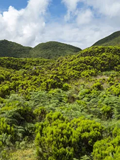 Landscape near cave Algar do Carvao. Terceira Island, Azores, Portugal Landscape near cave Algar do Carvao. Terceira Island, Azores, Portugal