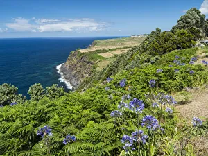 Azores Prints: Landscape near Miradouro do Raminho