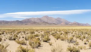 Altiplano Prints: Landscape near the salt flats Salinas Grandes in the Altiplano, Argentina