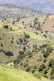 Images Dated 24th September 2010: Landscape in the province Tigray, northern Ethiopia. During and after the rainy season
