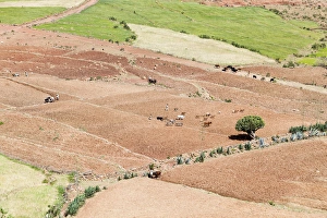 Images Dated 24th September 2010: Landscape in the province Tigray, northern Ethiopia