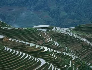 Images Dated 1st December 2004: Landscape of rice terraces in the mountain, Longji, Guangxi Province, China