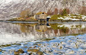 Lapland Prints: Landscape at Salangen Fjord near Loksebotn in northern Norway during winter
