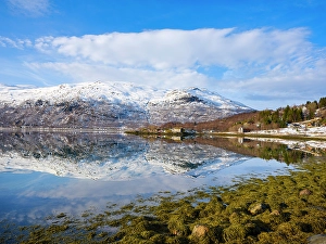 Kelp Prints: Landscape at Salangen Fjord near Loksebotn in northern Norway during winter