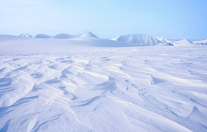 Tundra Prints: Landscape with Sastrugi between glaciers Rabotbreen and Konigsbergbreen during winter