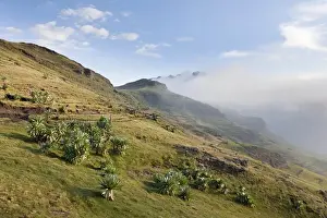 Landscape in the Semien Mountains National Park, Ethiopia