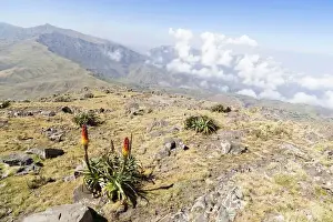 Images Dated 10th October 2010: Landscape in the Semien Mountains National Park, Ethiopia