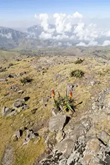 Images Dated 10th October 2010: Landscape in the Semien Mountains National Park, Ethiopia