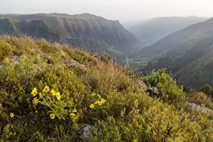 Landscape in the Semien Mountains National Park, Ethiopia
